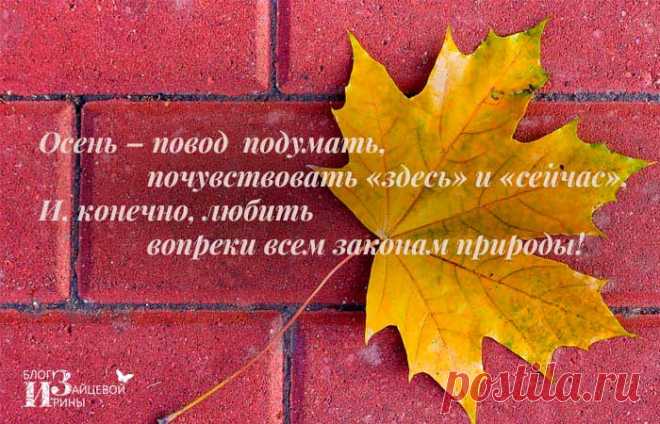 А вот и снова осень закружила…