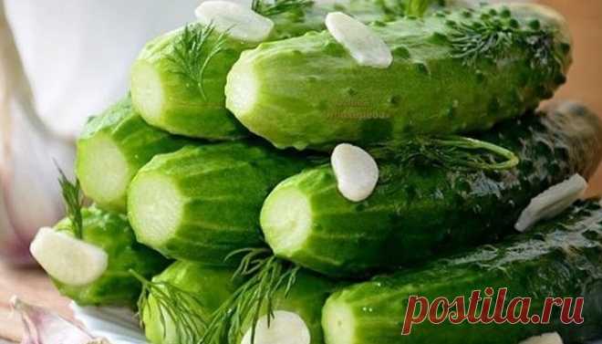 Малосольные огурцы в кастрюле с холодным рассолом - Вкусные идеи Хрустящие классические малосольные огурцы в кастрюле с холодной водой или рассолом — простая и очень быстрая закуска. Вы будете приятно удивлены тем,