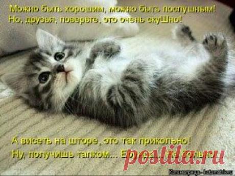 Google+