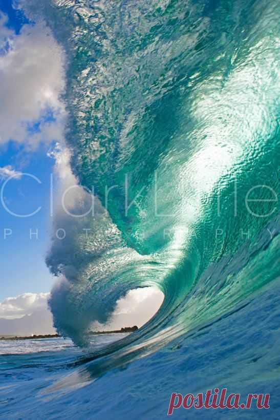 Clark Little ocean wave | WaVeS