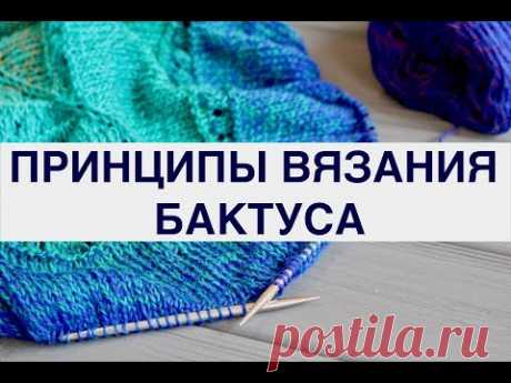 ГЛАВНОЕ ОТЛИЧИЕ БАКТУСА от ШАЛИ, ПЛАТКА и других треугольных аксессуаров. ПРИНЦИПЫ ВЯЗАНИЯ БАКТУСА