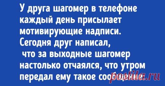 18 жизненных историй, которые прекрасно поймут те, кто уже начал худеть к лету . Милая Я