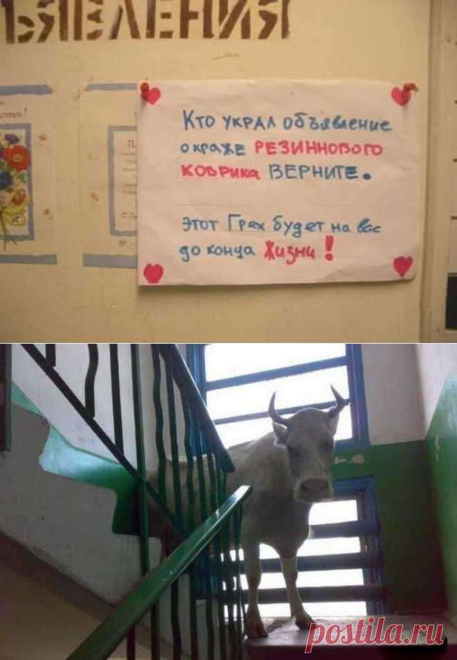 Соседи - крест наш...
