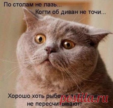 Чем хуже настроение, тем выше каблук, короче юбка и глубже декольте!