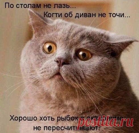 Чем хуже настроение, тем выше каблук, короче юбка и глубже декольте!