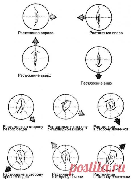 О чем расскажет Ваша форма пупка? | Всегда в форме!