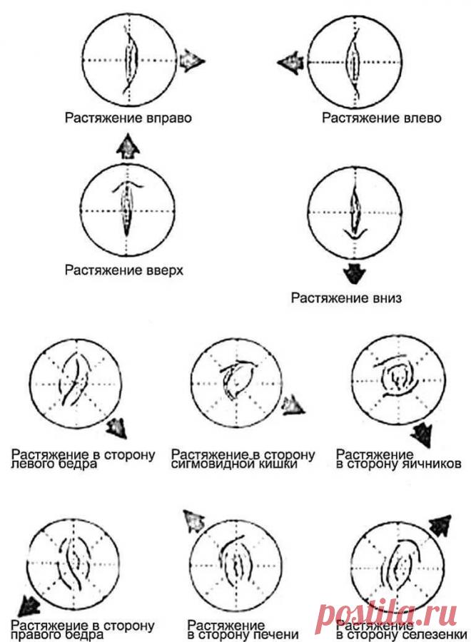 О чем расскажет Ваша форма пупка? | Всегда в форме!
