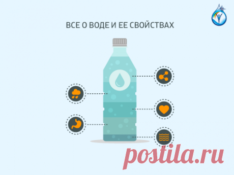 Почему необходимо пить воду