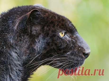 Мой Мир@Mail.Ru