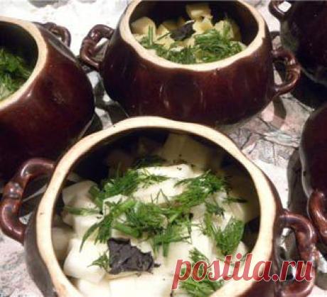 Баранина в горшочках по-ирландски, второе блюдо. Пошаговый рецепт с фото