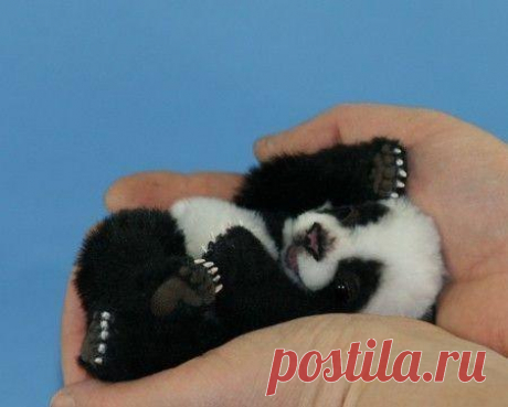 • Лучшие картинки и открытки ► vk.com/fotomimi ◄