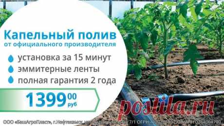 Федор Беляев, настраиваемся на гороскоп апреля и решение всех сложностей - Почта Mail.Ru