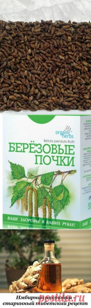 (26) Одноклассники