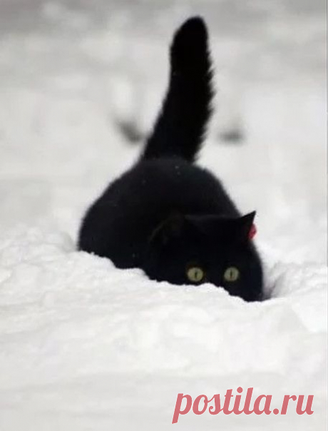 Ты меня жди! Все равно приду!!!