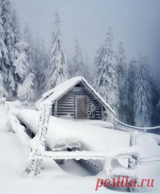 (10) Tumblr
