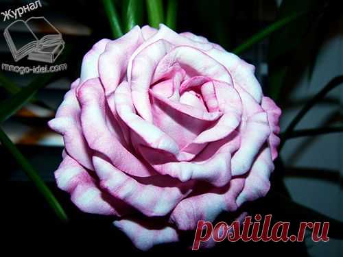 Чайно-гибридная роза из фоамирана | Цветы из фоамирана