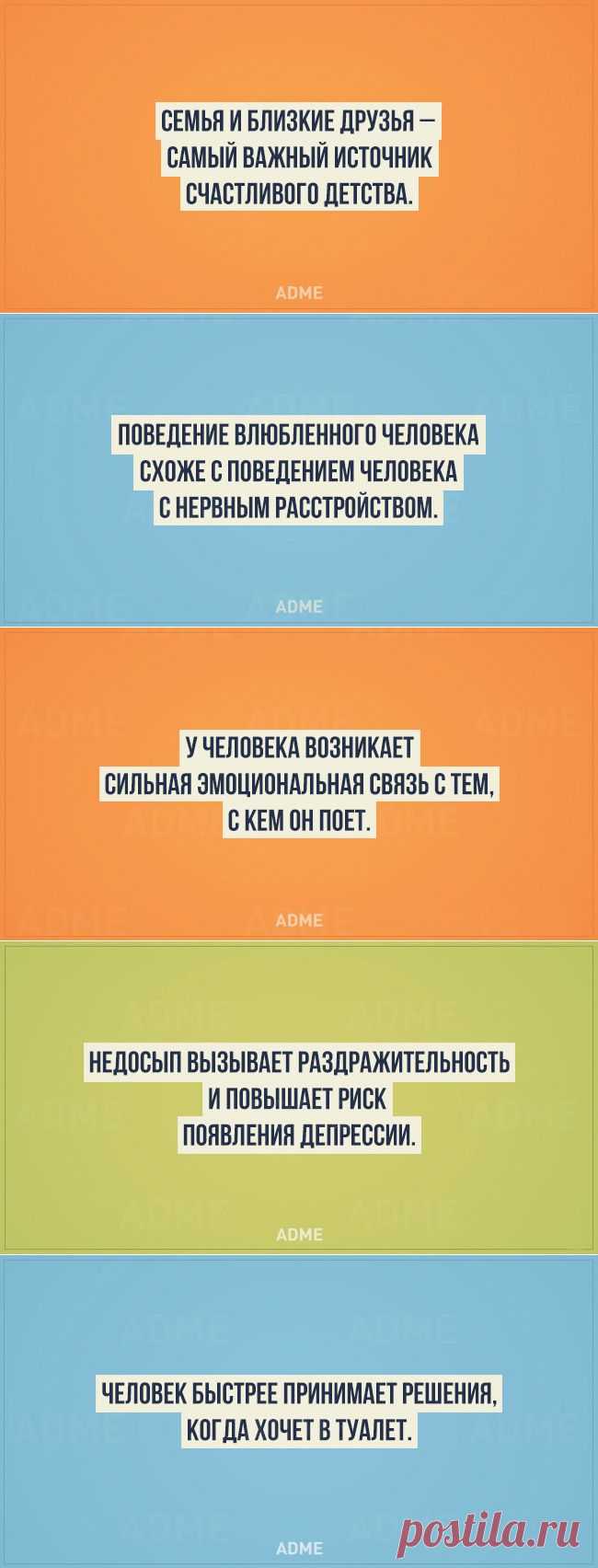 20 ценных фактов из психологии