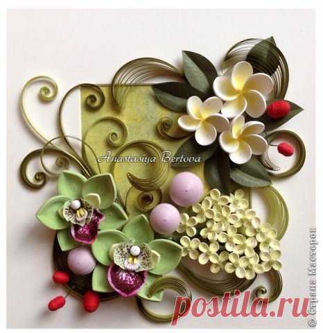 Анастасия Бертова | Страна Мастеров