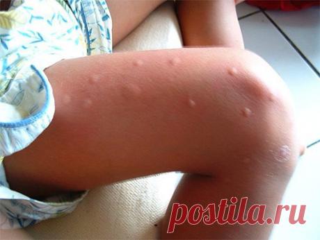 Интересные новости