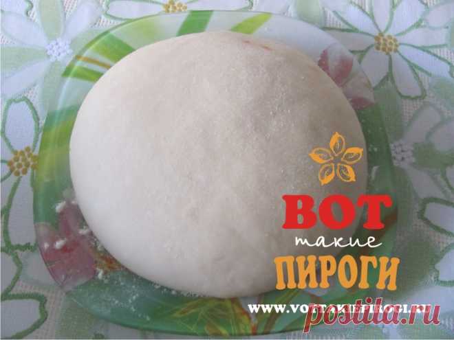 Пельменное тесто | ВОТ ТАКИЕ ПИРОГИ