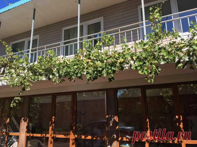 Гостевой Дом в Сочи (Россия Адлер) - Booking.com