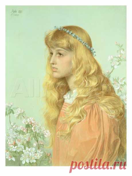 Художник Энтони Фредерик Огастас Сэндис (1825-1904)
Anthony Frederick Augustus Sandys или просто Frederick Sandys - английский живописец-прерафаэлит, иллюстратор и рисовальщик, писавший по большей части портреты, а также произведения в жанре мифологической живописи.