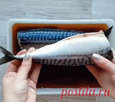 Скумбрия "Четыре плюса" в чайном рассолеНа вкус совсем как копченая! 
Очень удачный рецепт, рыбка получается просто великолепной. Рекомендую 
этот посол, чтобы насладиться чудесным вкусом нежнейшей скумбрии. Будет 
вкусно, обещаю!
Почему "Четыре плюса"? Да потому что: просто, дешево, минимум телодвижений и вку-усно!
Рецепт случайно попался и сразу заинтересовал всеми четырьмя плюсами - вот и не могла удержаться!