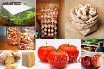 Кухонные хитрости! ● источник Хозяюшки Online ●

Кухонные хитрости!1. Если хранить лук в колготках, он не будет портиться до 8 месяцев.2. Храните резанный зеленый лук в морозилке в пластиковых бутылках. Только убедитесь…