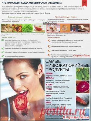 "В Новый год с новой фигурой" - Избавляемся от лишнего правильно - Страна Мам