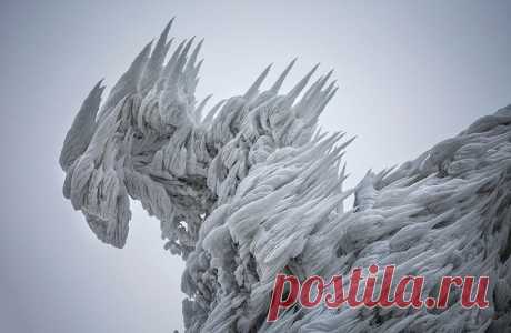 9 фото словенской горы после экстремальной снежной вьюги
