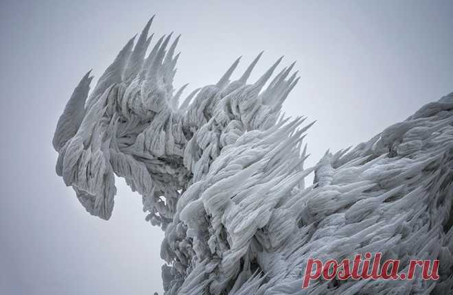 9 фото словенской горы после экстремальной снежной вьюги