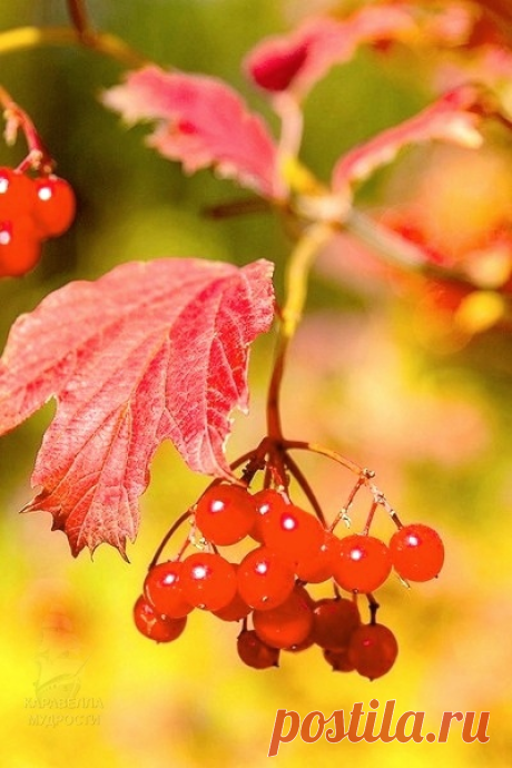 i (400×600)