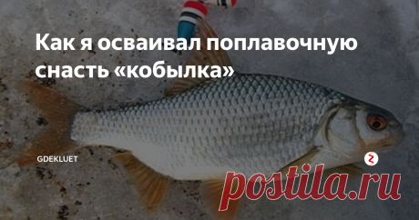 Как я осваивал поплавочную снасть «кобылка» Всем привет! Не прошло и пары дней, как я снова побывал на рыбалке. А как тут не поехать на любимое увлечение, если всю неделю стоит солнечная и безветренная погода, сильных морозов нет, лишь...