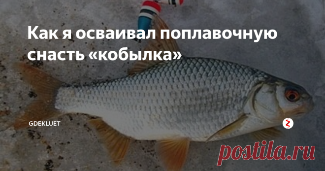 Как я осваивал поплавочную снасть «кобылка» Всем привет! Не прошло и пары дней, как я снова побывал на рыбалке. А как тут не поехать на любимое увлечение, если всю неделю стоит солнечная и безветренная погода, сильных морозов нет, лишь...