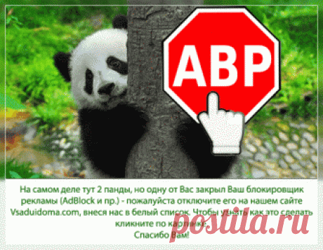 Выращивание помидор в горшках в домашних услвоиях | Сайт о саде, даче и комнатных растениях.