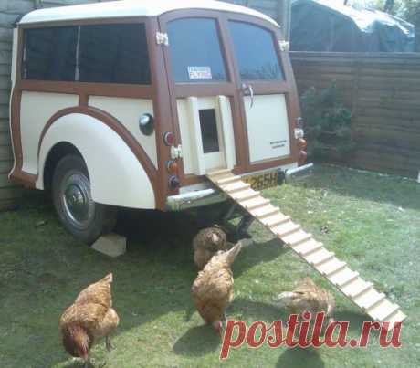 Найдено на сайте backyardchickens.com.
