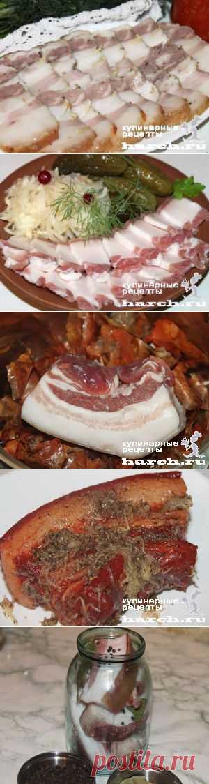 ДЛЯ ЛЮБИТЕЛЕЙ САЛКА - 6 ВКУСНЫХ РЕЦЕПТОВ