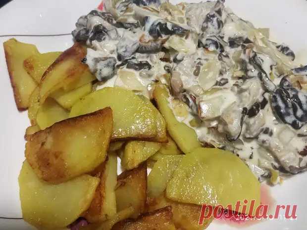 Сморчки с жареной картошкой в сливках. Суп с сморчками .Польза сморчков. - Вкусно с Любовью - медиаплатформа МирТесен