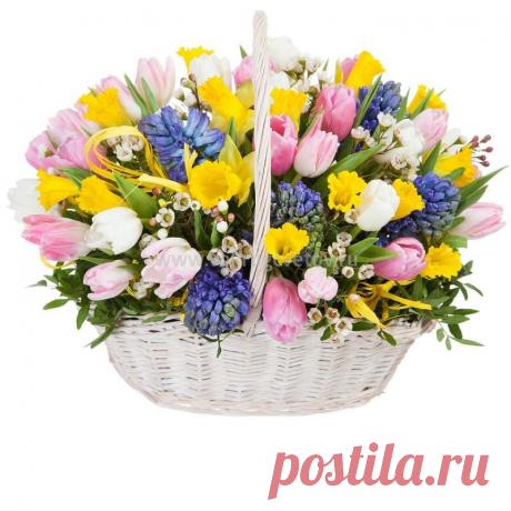 Доставка цветов корзины - интернет магазин «Вокруг цветов». Весенние композиции.