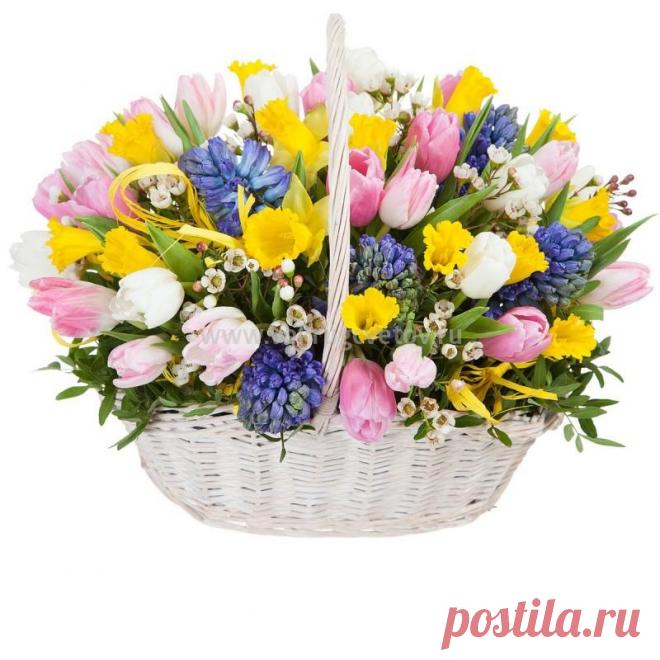 Доставка цветов корзины - интернет магазин «Вокруг цветов». Весенние композиции.