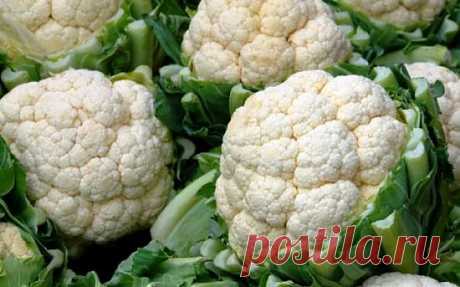 Цветная капуста: полезные свойства и агротехника