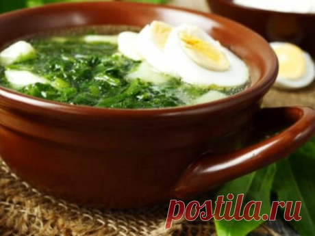 Ботвинья со снытью и щавелем | Русская деревенская кухня | Яндекс Дзен