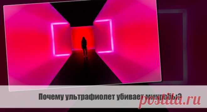 Разбираем тему: Почему ультрафиолет убивает микробы?