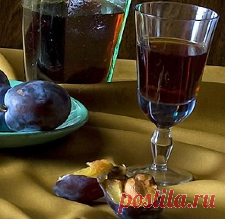 Домашняя настойка из сливы на водке и спирте (лучшие рецепты)