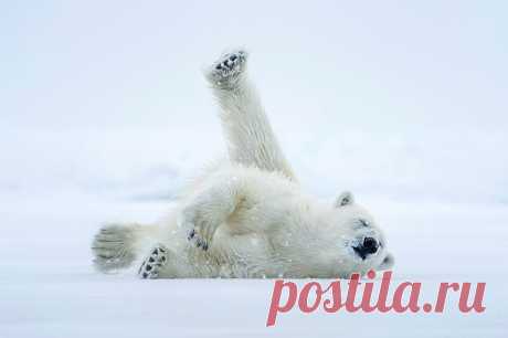 #LenovoZima 2016 | #LenovoZima 2016 Metrobrutal