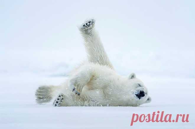 #LenovoZima 2016 | #LenovoZima 2016 Metrobrutal