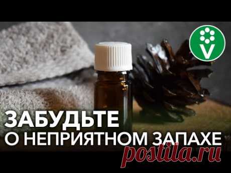КАК ИЗБАВИТЬСЯ ОТ ЗАПАХА СТАРОСТИ И ОМОЛОДИТЬ КОЖУ? Простой и эффективный рецепт