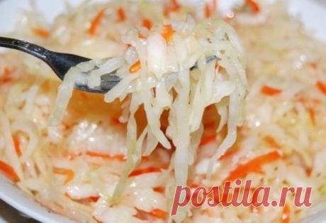 Очень быстрая капустка - 15 минут и готово! — Sloosh – кулинарные рецепты