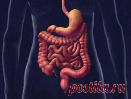 1 день голодания омолаживает организм на 3 месяца!