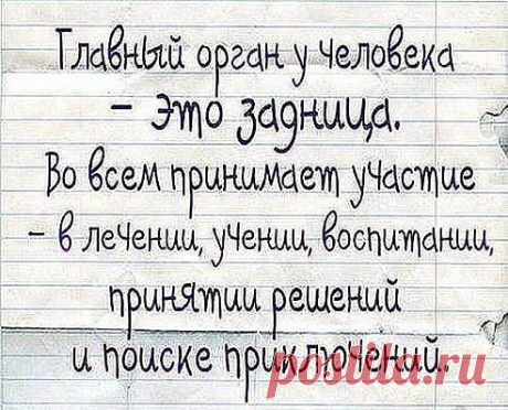 Факт!!!
